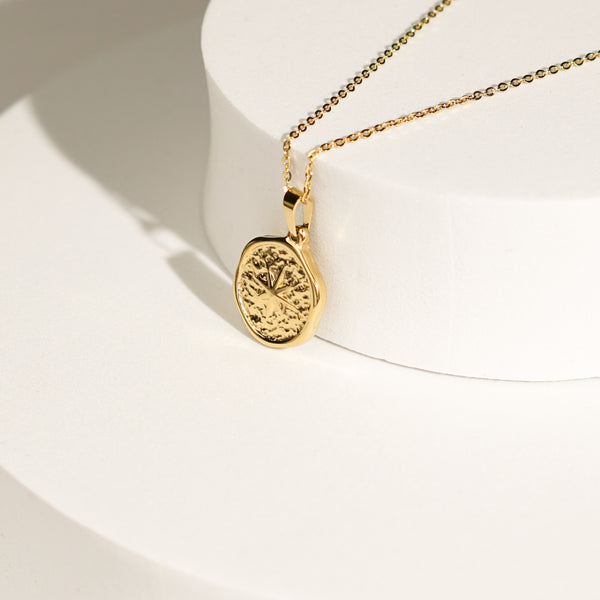 North Star Compass Necklace