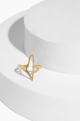 Palestine Outline Ring | Gold